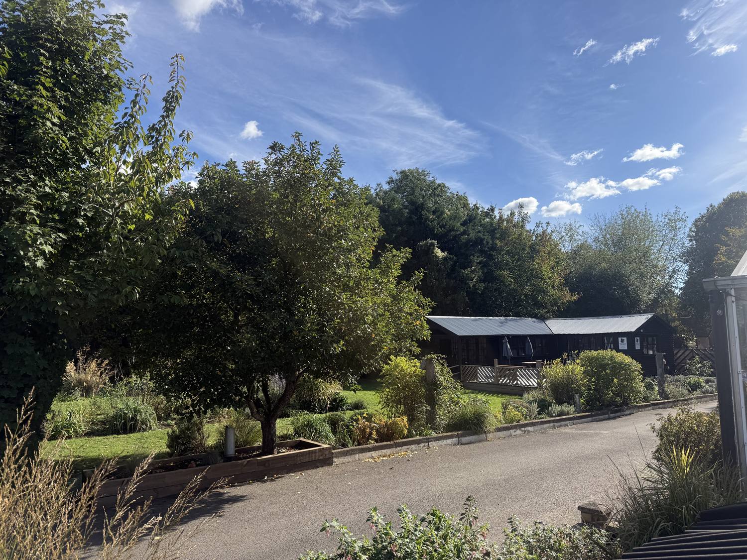 The drive through Pioneer Nursery, with greenhouses on one side and the buildings ahead